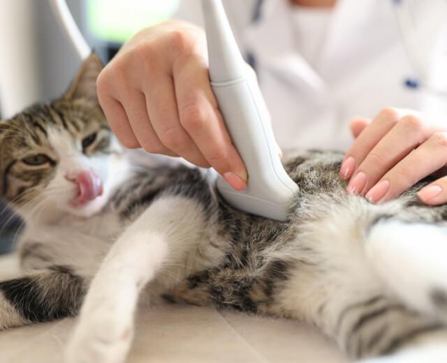 Ultrasound