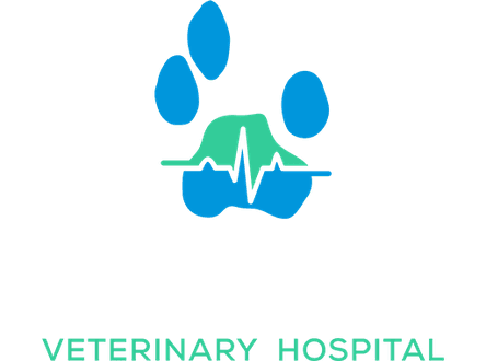 Lakewood Veterinary Hospital